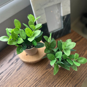 Potted Faux Herbs