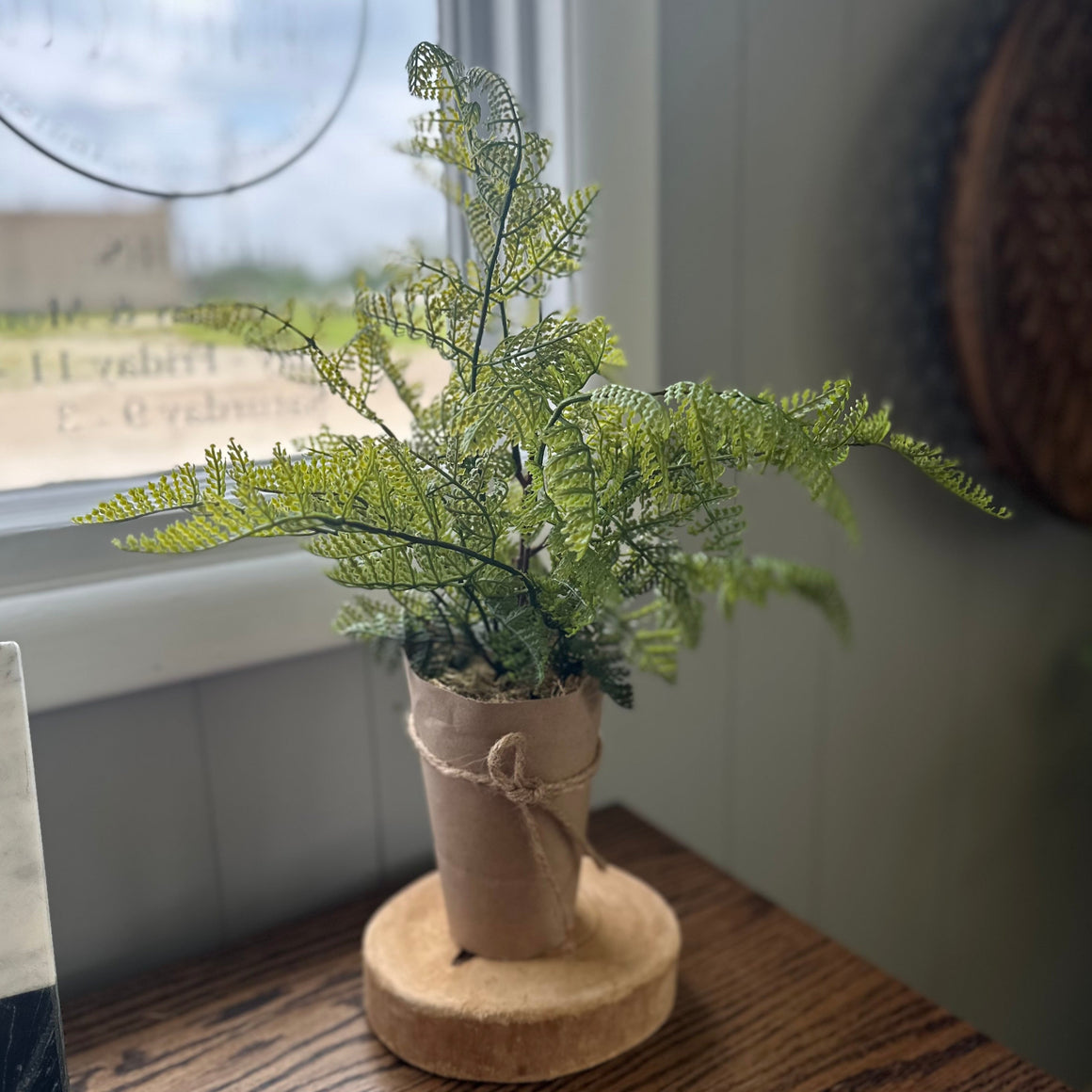 Faux Fern Paper Wrapped Pot