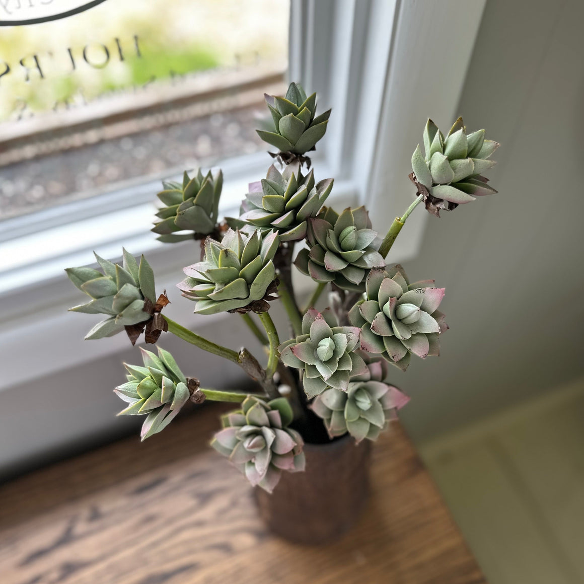 Faux Succulent Branch