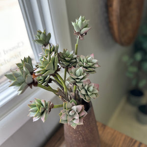 Faux Succulent Branch