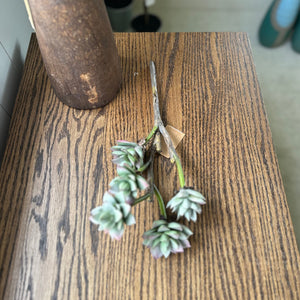 Faux Succulent Branch