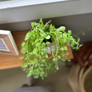 Hanging Faux Succulent