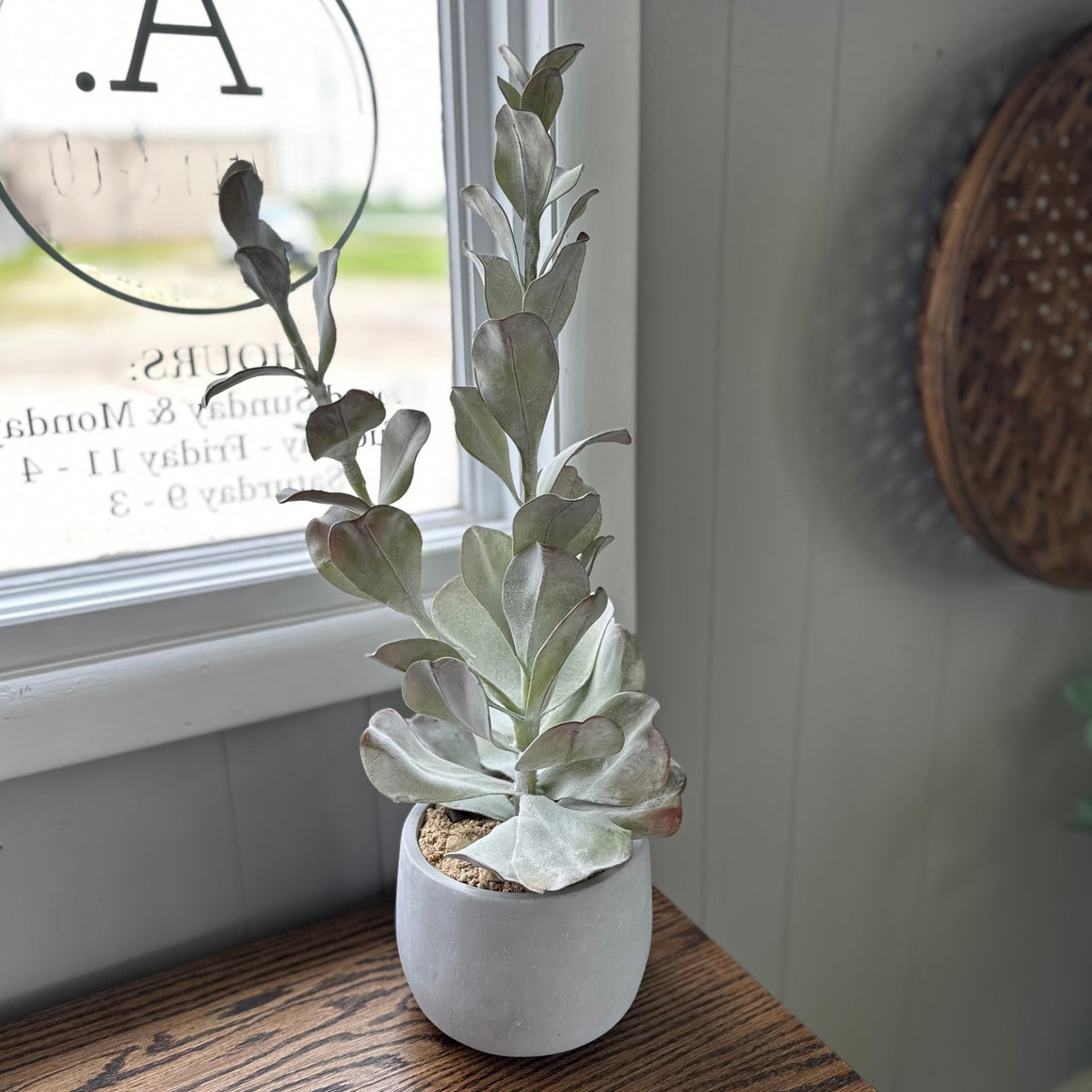 Faux Succulent in Cement Pot