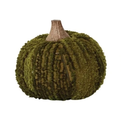 Cotton Pumpkin