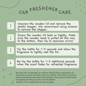 Car Diffuser/ Air Freshner