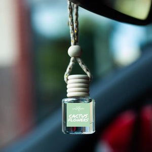 Car Diffuser/ Air Freshener