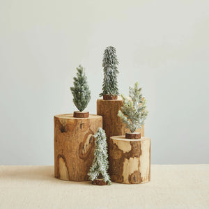 Mini Faux Evergreen Tree